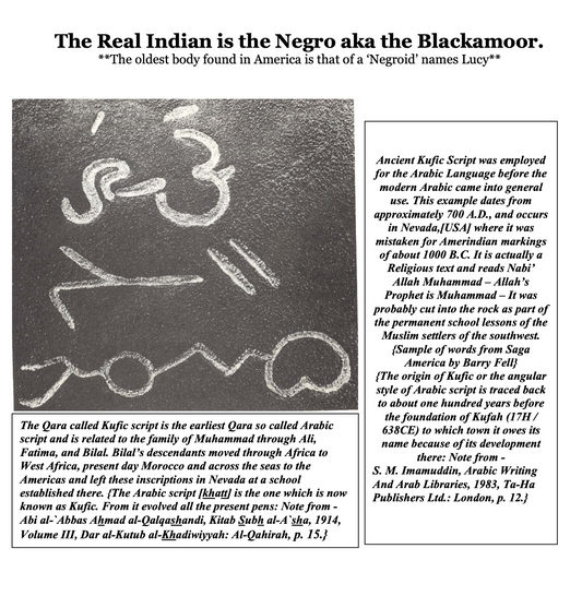 The Indian Is the Real Negro aka Blackamoor