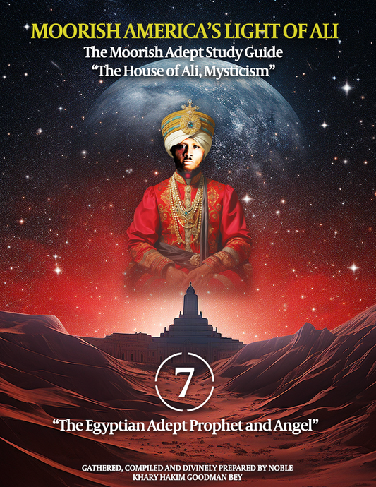 The Light of Ali - Adept Book: Sheikh Khary: PDF Version