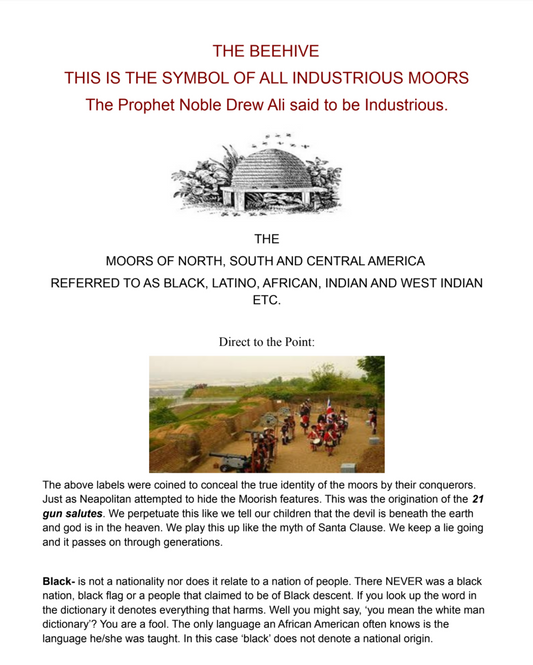 The Beehive: Moor History